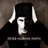 Peter Murphy - I Spit Roses